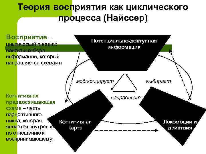 Теория восприятия как циклического процесса (Найссер) Восприятие – циклический процесс поиска и отбора информации,