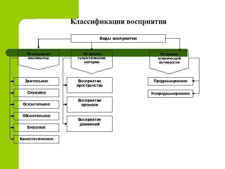 Классификация восприятия Виды восприятия По ведущему анализатор Зрительное По форме существования материи Восприятие пространства