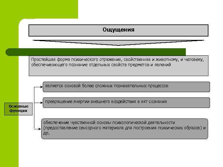 Ощущения Простейшая форма психического отражения, свойственная и животному, и человеку, обеспечивающего познание отдельных свойств