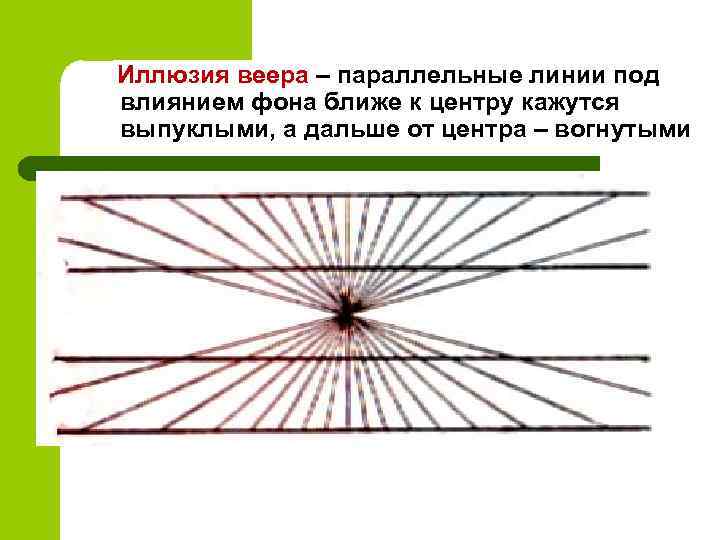 Иллюзия веера – параллельные линии под влиянием фона ближе к центру кажутся выпуклыми, а