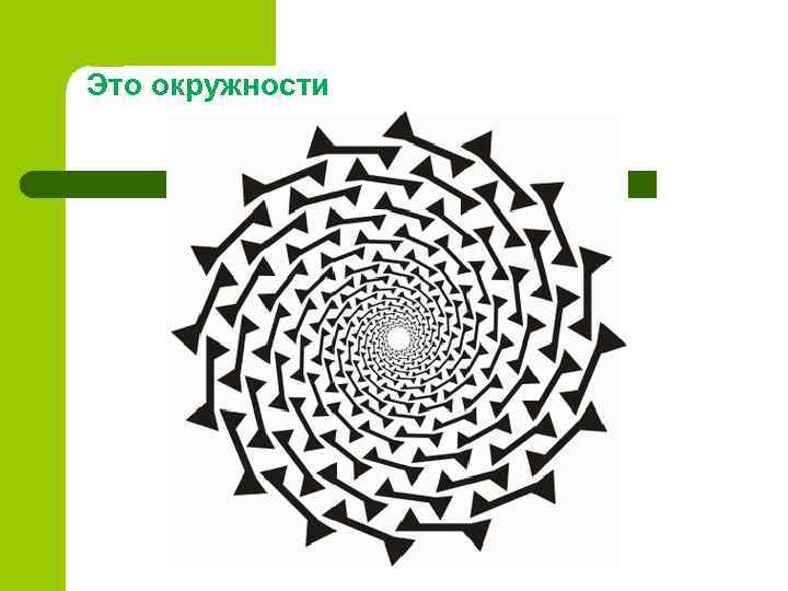 Это окружности 