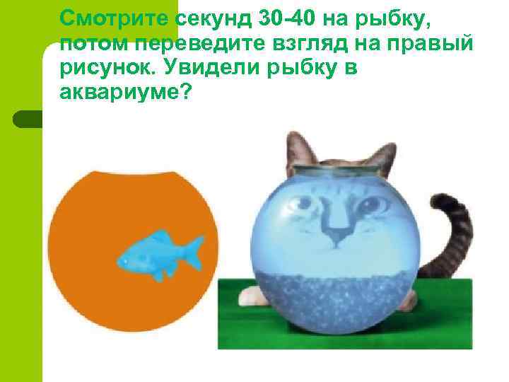 Смотрите секунд 30 -40 на рыбку, потом переведите взгляд на правый рисунок. Увидели рыбку