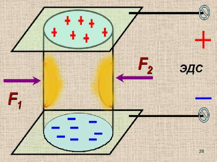 ЭДС  28 