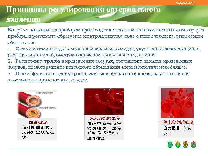       ru. tiens. com Принципы регулирования артериального давления Во