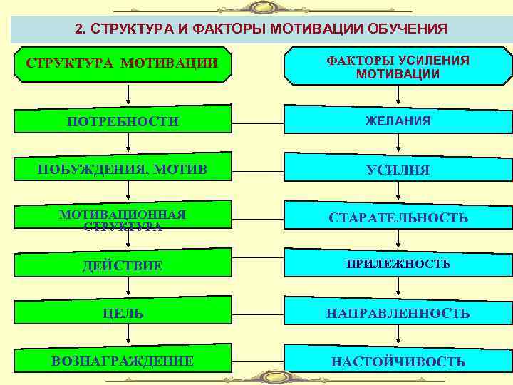   2. СТРУКТУРА И ФАКТОРЫ МОТИВАЦИИ ОБУЧЕНИЯ СТРУКТУРА МОТИВАЦИИ  ФАКТОРЫ УСИЛЕНИЯ 