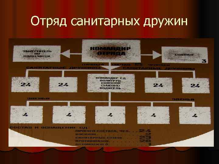 Отряд санитарных дружин 