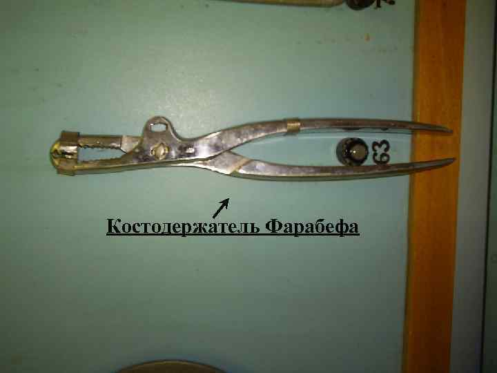 Костодержатель Фарабефа 