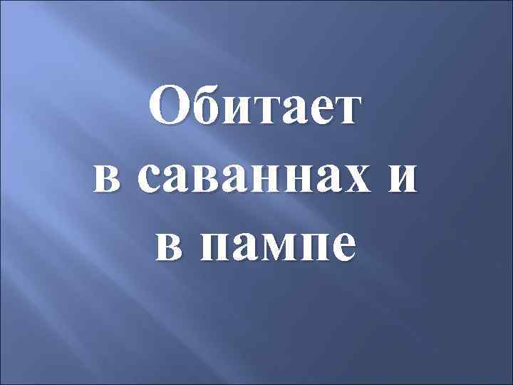 Обитает в саваннах и в пампе 