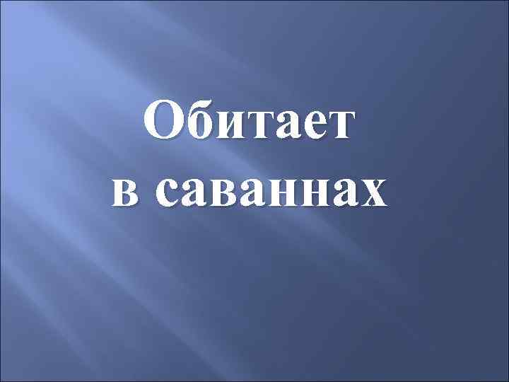 Обитает в саваннах 