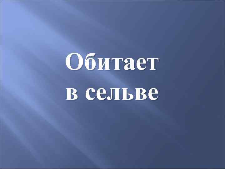 Обитает в сельве 