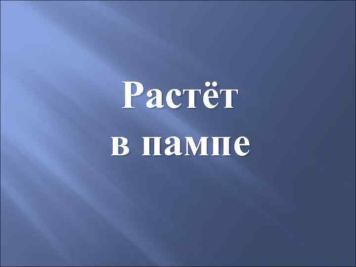 Растёт в пампе 