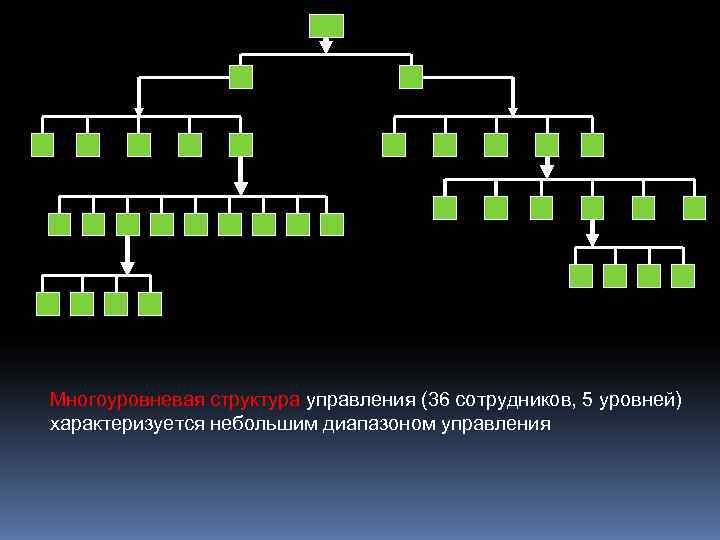 Многоуровневая структура управления (36 сотрудников, 5 уровней) характеризуется небольшим диапазоном управления 