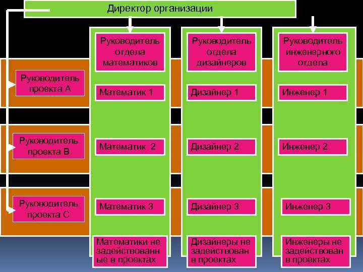   Директор организации   Руководитель    отдела инженерного 