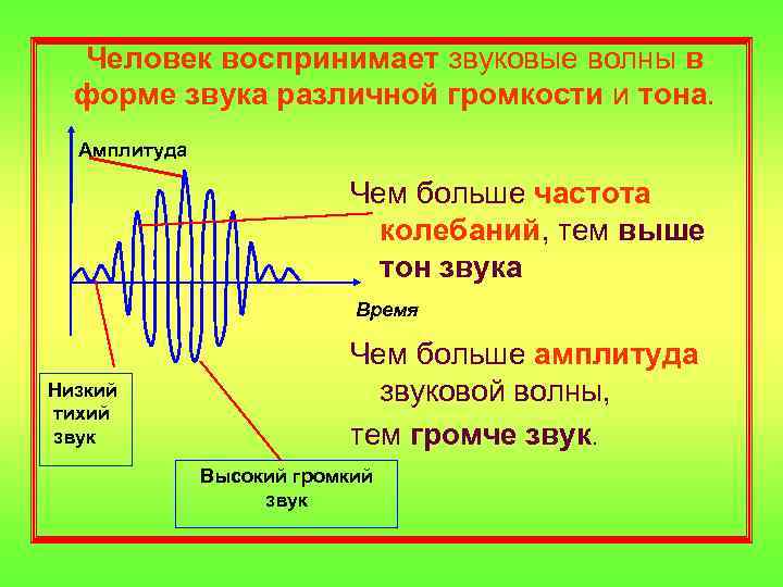 Человек воспринимает звуковые волны в форме звука различной громкости и тона. Амплитуда Чем больше