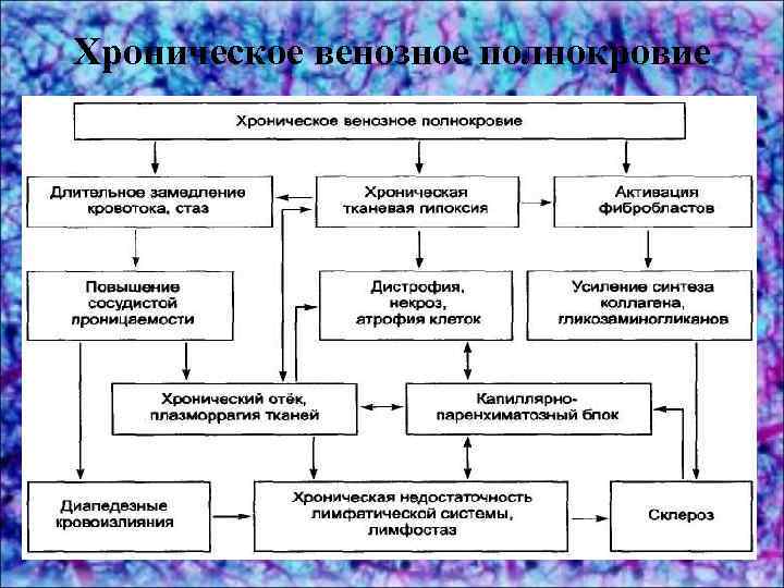 Хроническое венозное полнокровие 