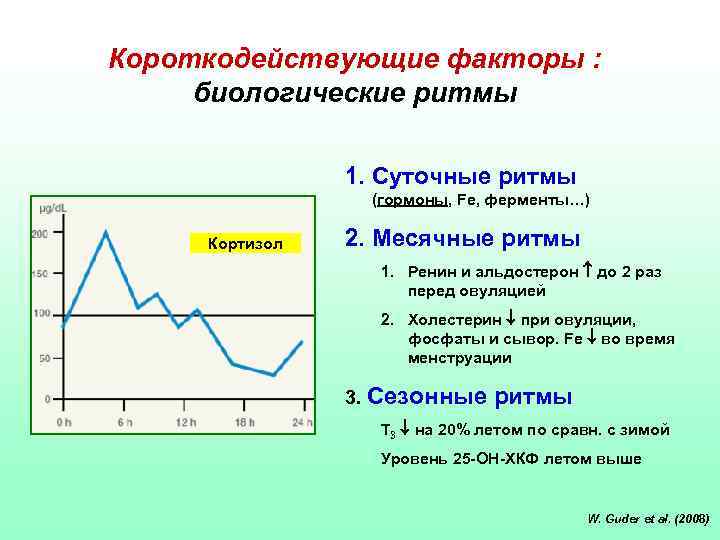 Короткодействующие факторы : биологические ритмы 1. Суточные ритмы (гормоны, Fe, ферменты…) Кортизол 2. Месячные