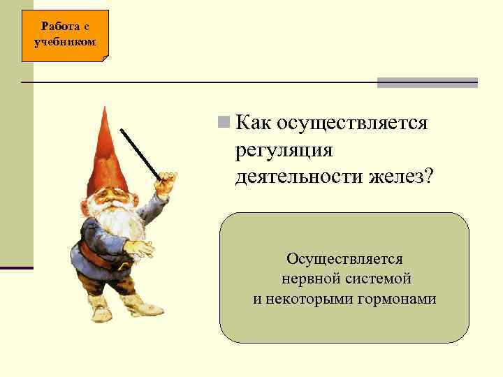 Работа с учебником n Как осуществляется регуляция деятельности желез? Осуществляется нервной системой и некоторыми