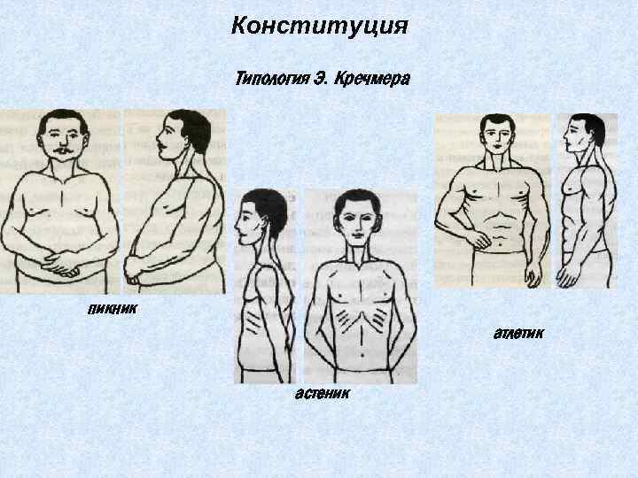 Конституция Типология Э. Кречмера пикник атлетик астеник 