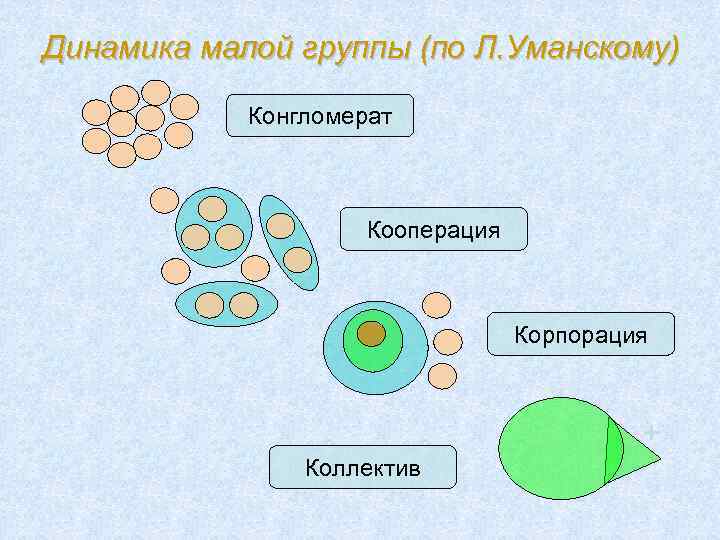 Динамика малой группы (по Л. Уманскому) Конгломерат Кооперация Корпорация + Коллектив 
