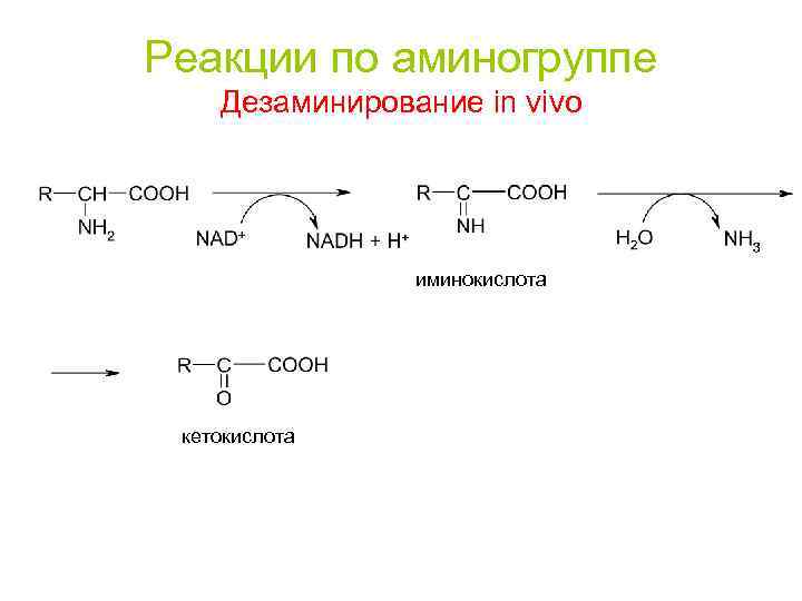 Реакция in vivo. Дезаминирование фенилаланина реакция. Лизин дезаминирование реакция. Кетокислоты декарбоксилирование. Дезаминирование Серина реакция.