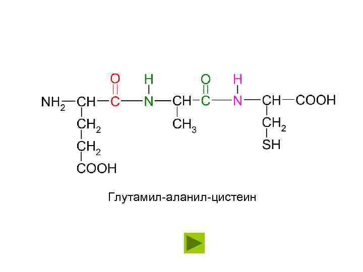Глутамил цистеинил глицин динатрия. Трипептид аланил-аланил-глицин. Глутамил формула. Глутамил-цистеинил. Глутамил-цистеинил-глицин.