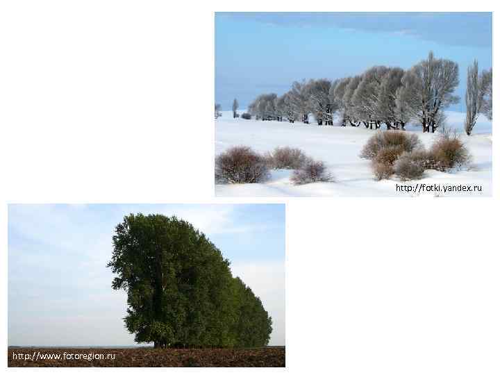 http: //fotki. yandex. ru http: //www. fotoregion. ru 