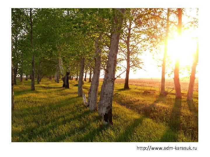 http: //www. adm-karasuk. ru 