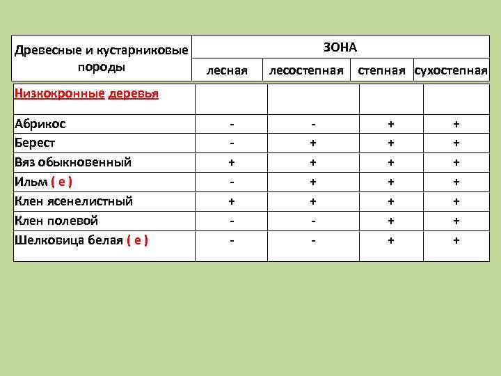 Древесные и кустарниковые породы ЗОНА лесная лесостепная сухостепная Низкокронные деревья Абрикос Берест Вяз обыкновенный