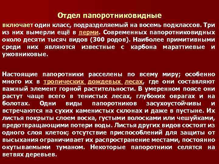Отдел папоротниковидные включает один класс, подразделяемый на восемь подклассов. Три из них вымерли ещё