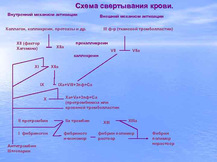 Схема свертывания крови. Внутренний механизм активации Внешний механизм активации Коллаген, колликреин, протеазы и др.
