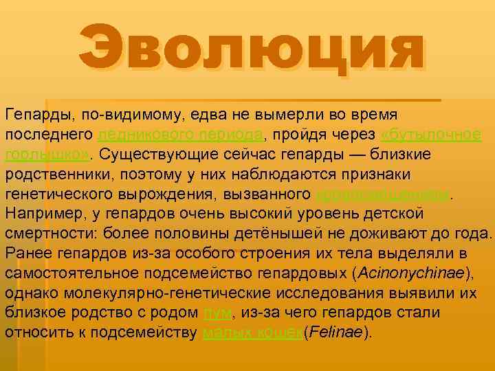 Эволюция Гепарды, по-видимому, едва не вымерли во время последнего ледникового периода, пройдя через «бутылочное