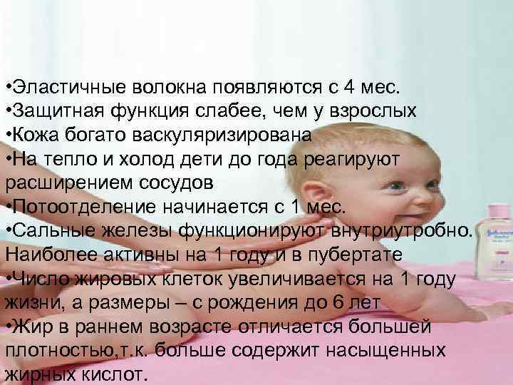  • Эластичные волокна появляются с 4 мес. • Защитная функция слабее, чем у