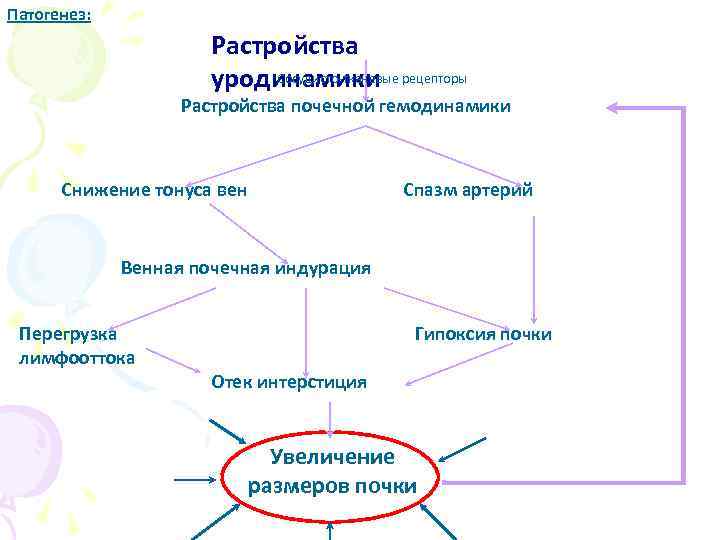 Патогенез: Растройства Сосудисто-тканевые уродинамики рецепторы Растройства почечной гемодинамики Снижение тонуса вен Спазм артерий Венная