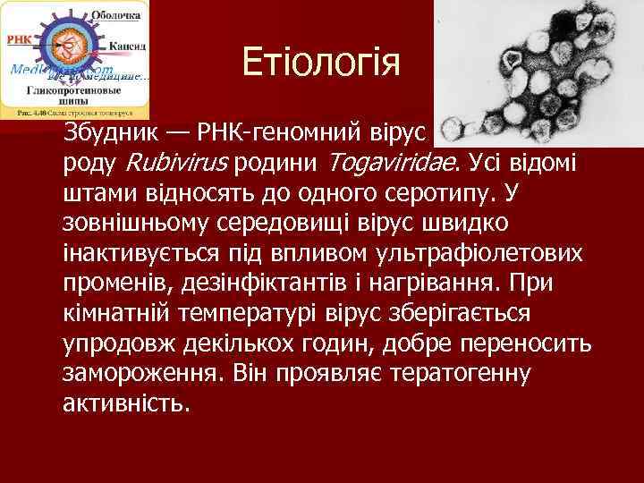 Етіологія Збудник — РНК-геномний вірус роду Rubivirus родини Togaviridae. Усі відомі штами відносять до