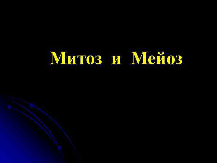 Митоз и Мейоз 