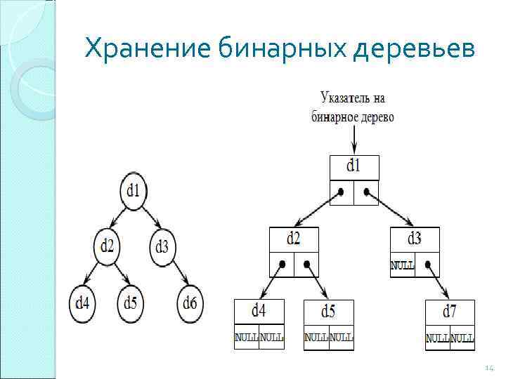 Хранение бинарных деревьев 14 