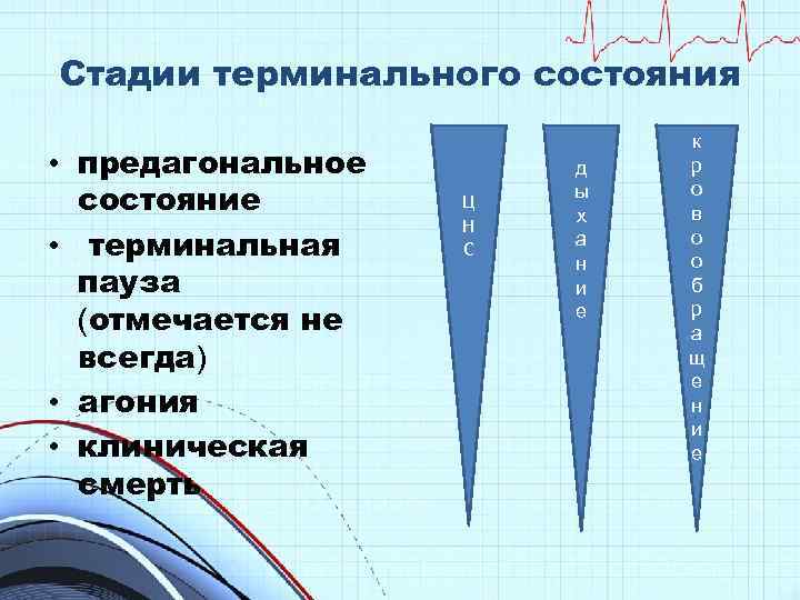 Стадии терминального состояния • предагональное состояние • терминальная пауза (отмечается не всегда) • агония