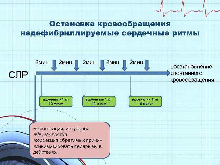 Остановка кровообращения недефибриллируемые сердечные ритмы 2 мин 2 мин СЛР адреналин 1 мг 10