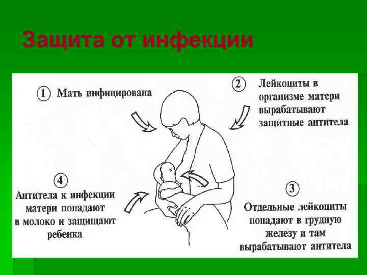 Защита от инфекции 