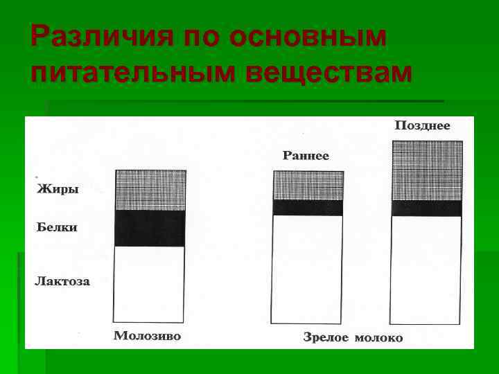 Различия по основным питательным веществам 