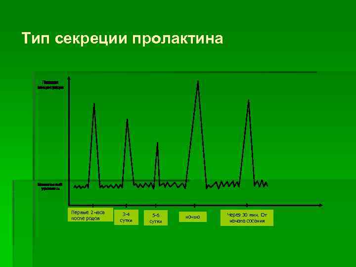 Тип секреции пролактина Первые 2 часа после родов 3 -4 сутки 5 -6 сутки