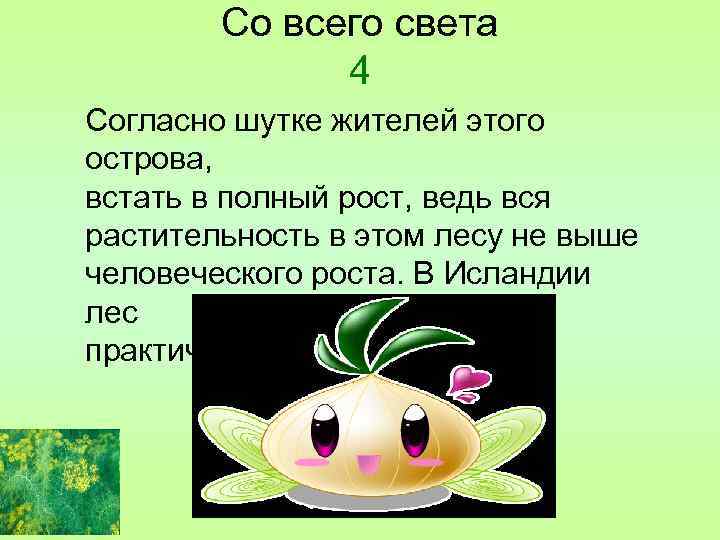 Со всего света 4 Согласно шутке жителей этого острова, встать в полный рост, ведь