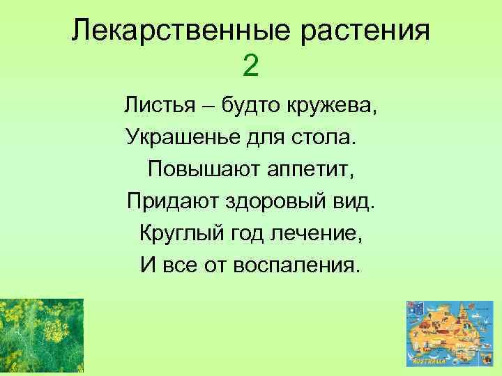 Лекарственные растения 2 Листья – будто кружева, Украшенье для стола. Повышают аппетит, Придают здоровый