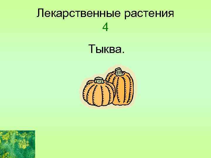 Лекарственные растения 4 Тыква. 