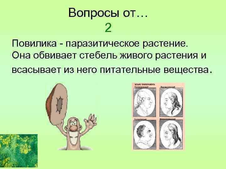 Вопросы от… 2 Повилика - паразитическое растение. Она обвивает стебель живого растения и всасывает