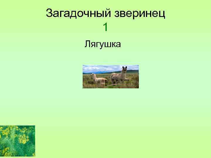 Загадочный зверинец 1 Лягушка 