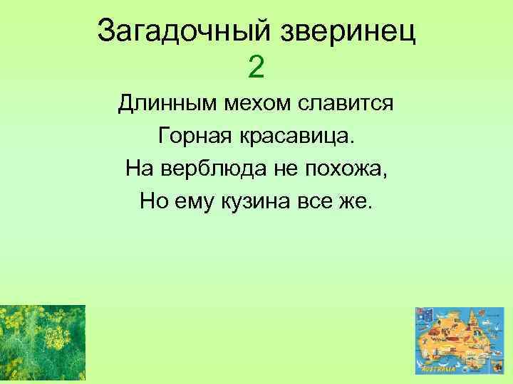 Загадочный зверинец 2 Длинным мехом славится Горная красавица. На верблюда не похожа, Но ему