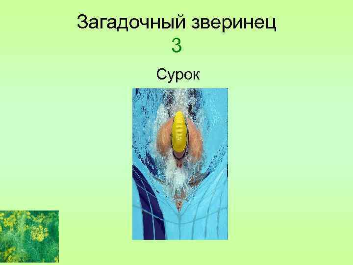 Загадочный зверинец 3 Сурок 