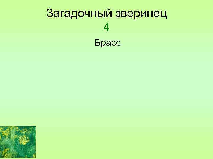 Загадочный зверинец 4 Брасс 