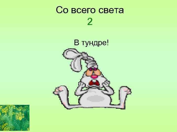 Со всего света 2 В тундре! 
